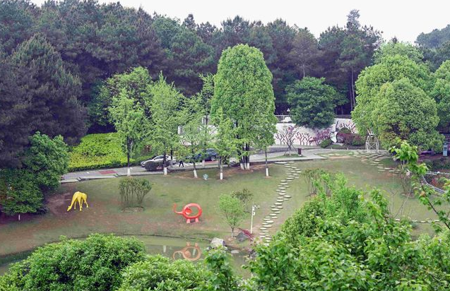 铁山坪森林公园游玩攻略+海拔多少米